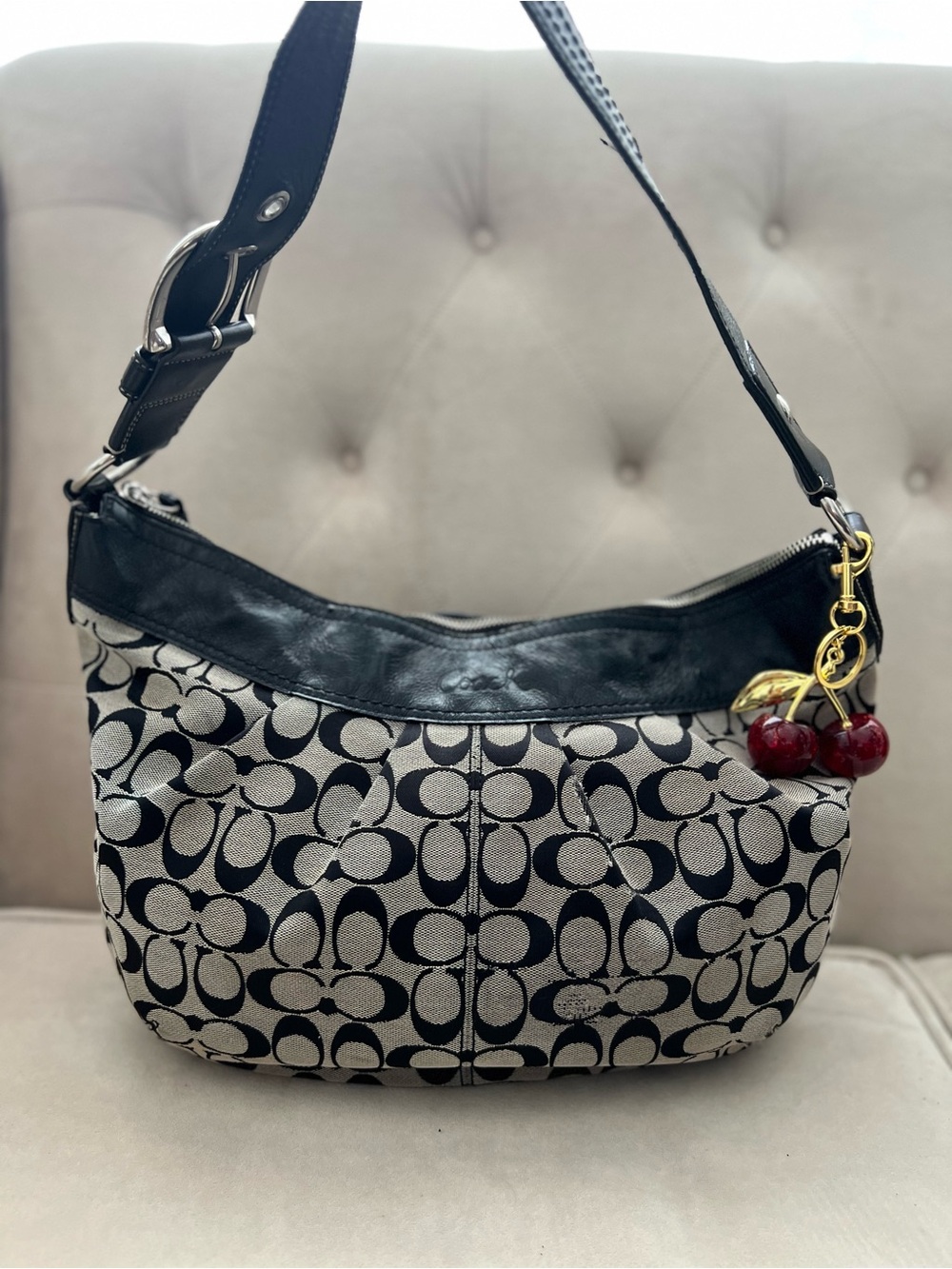 Coach Large Signature Hobo Bag